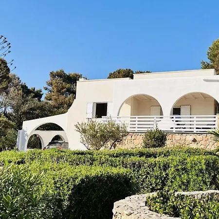 Cosimino * Morciano di Leuca